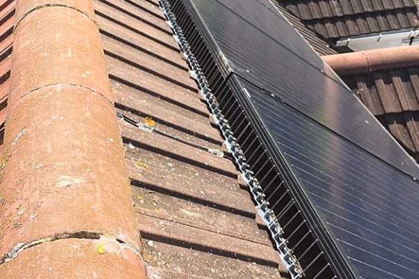solar panel bird proofing lincolnshire